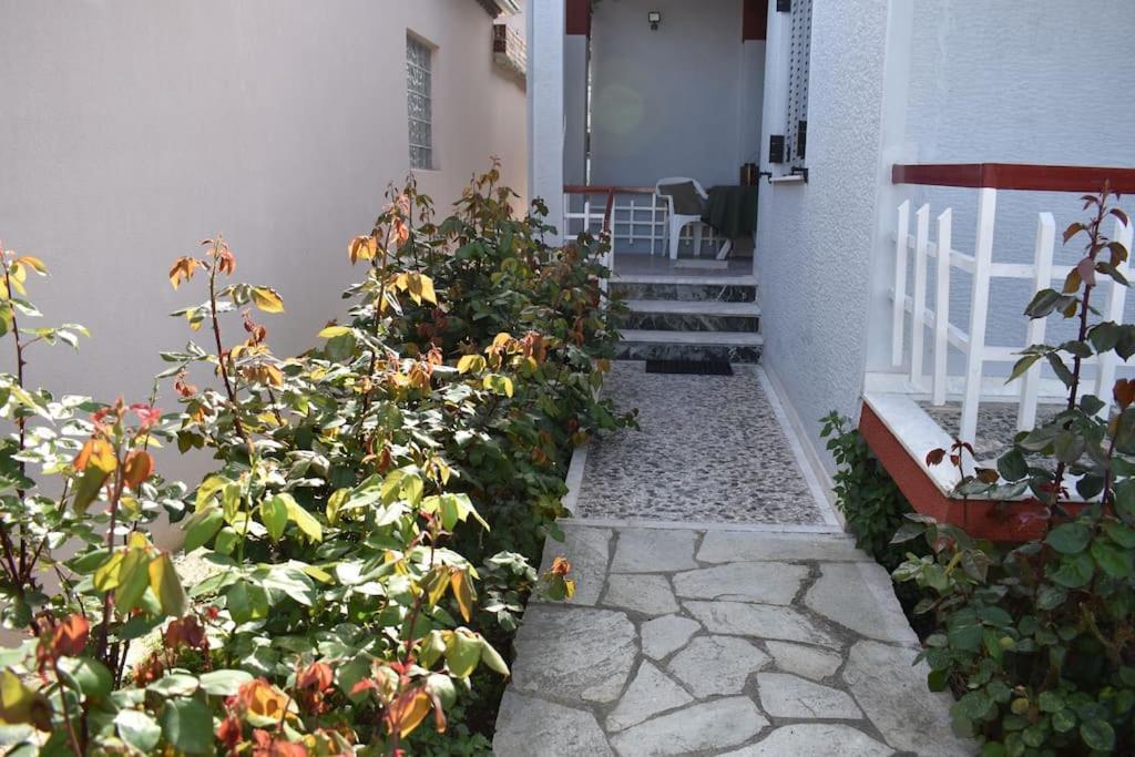 特里卡拉Rose'S House公寓 外观 照片
