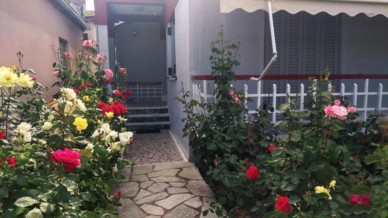 特里卡拉Rose'S House公寓 外观 照片